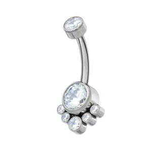 Titanium Int. Threaded Navel Banana w/ 6 CZ Stone Cluster